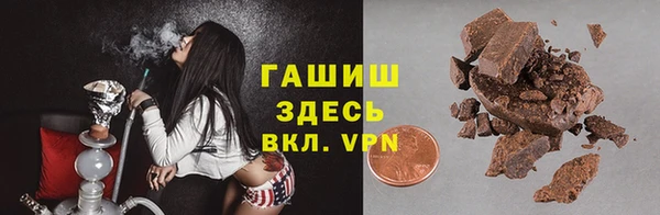 дмт Новозыбков
