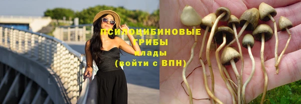 дмт Новозыбков