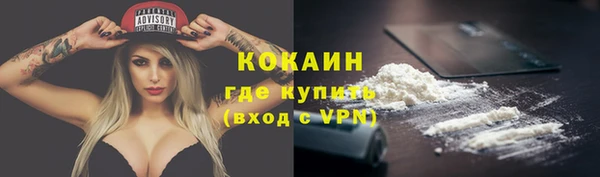 мет Новодвинск